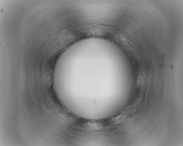 X0000089420464200707061323