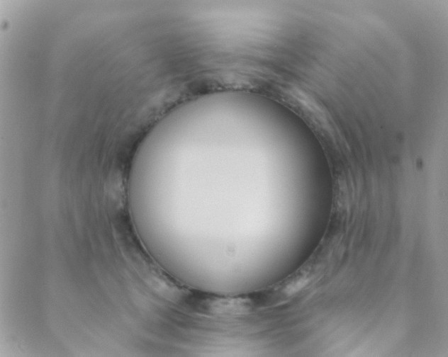 X0000089420465200707061323