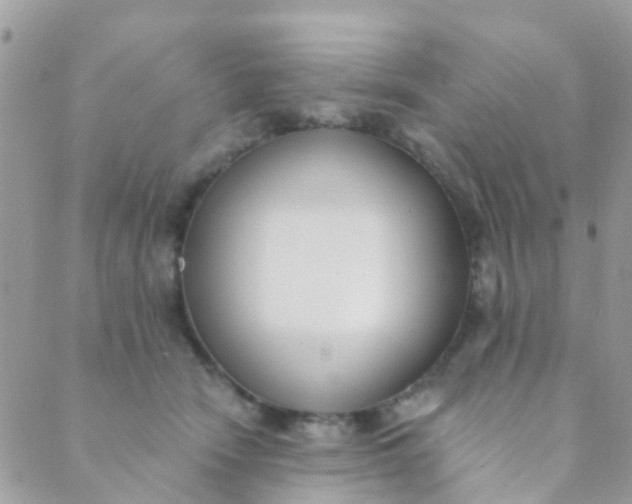 X0000089420466200707061323