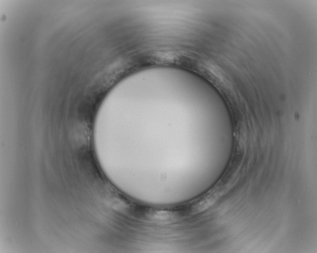 X0000089420467200707061323