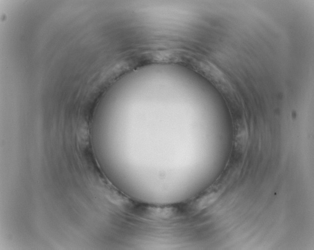 X0000089420469200707061323