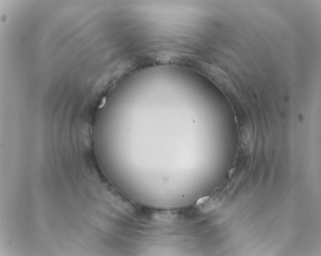 X0000089420470200707061323