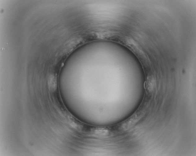 X0000089420471200707061323