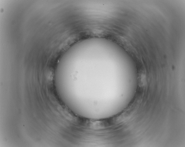 X0000089420472200707061323