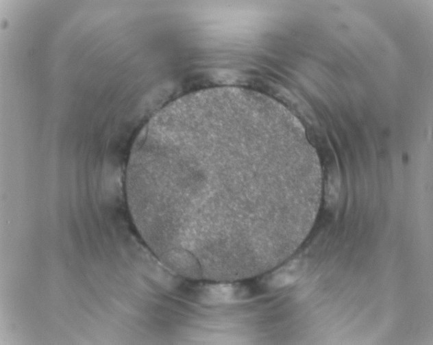 X0000089420473200707061323