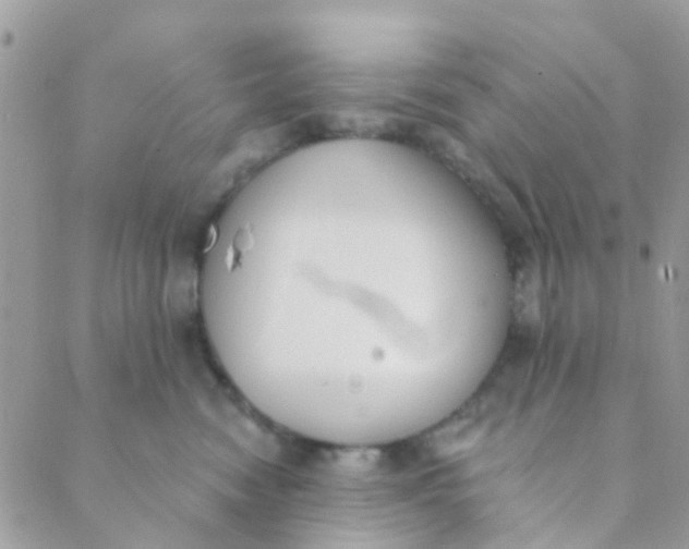 X0000089420474200707061323