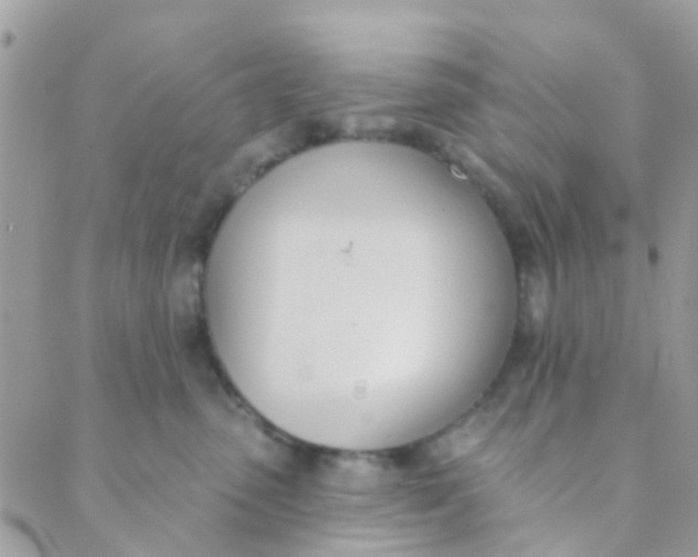 X0000089420475200707061323