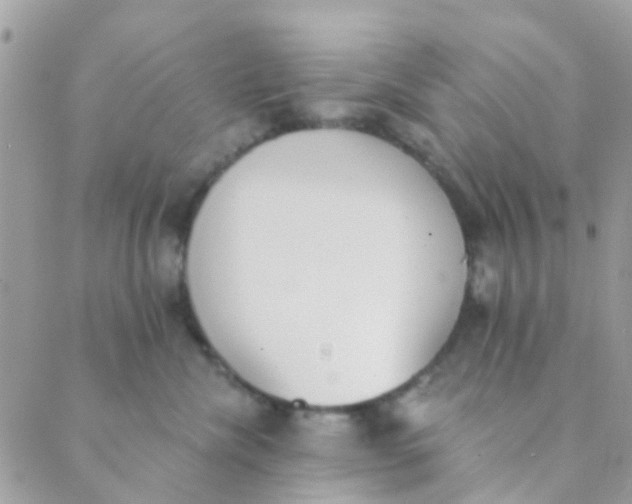 X0000089420476200707061323