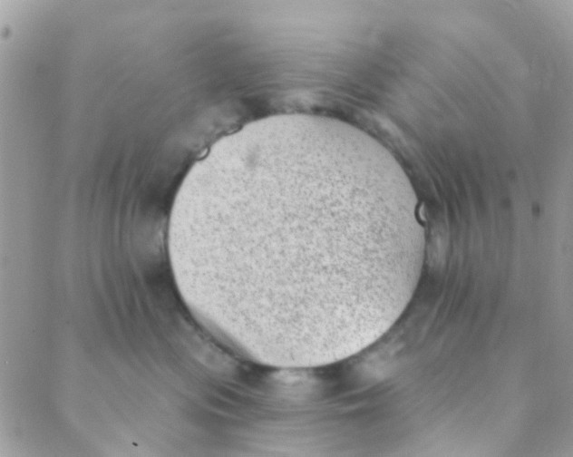 X0000089420477200707061323