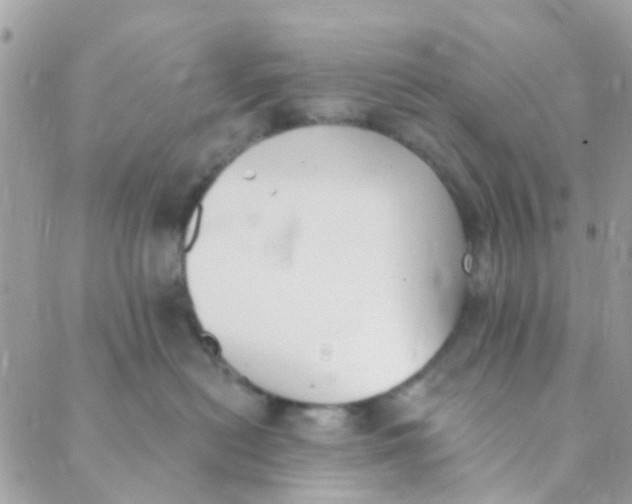 X0000089420478200707061323