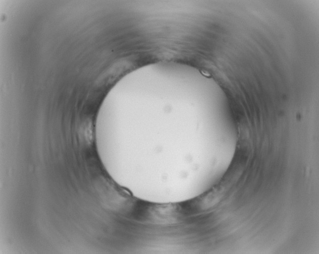 X0000089420479200707061323