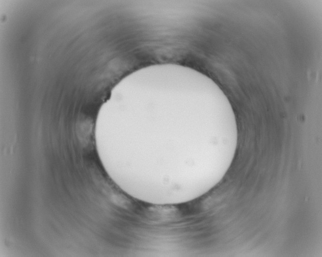 X0000089420480200707061323