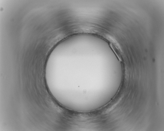 X0000089420481200707061322