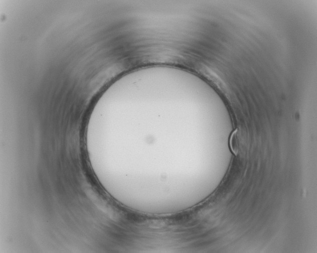 X0000089420482200707061322