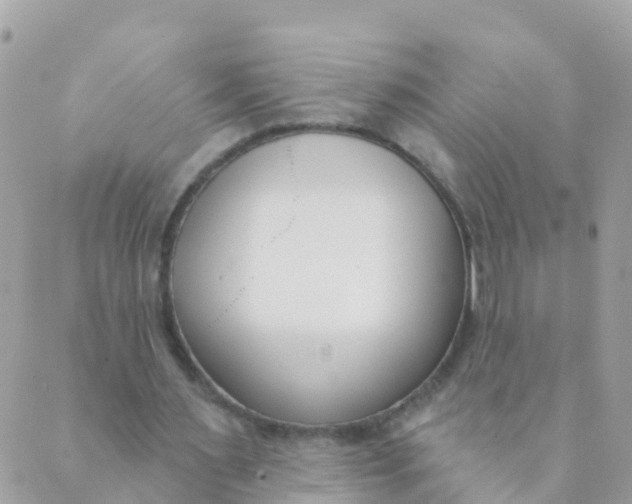 X0000089420483200707061322