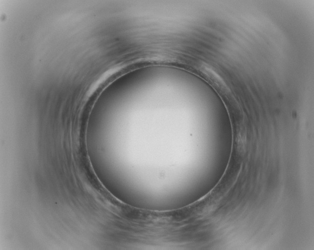 X0000089420484200707061322