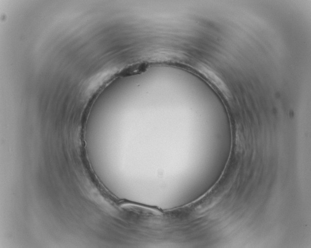 X0000089420485200707061322