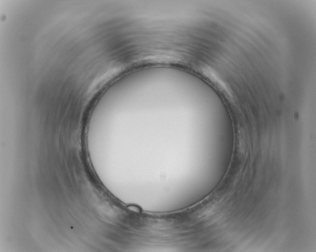 X0000089420486200707061322