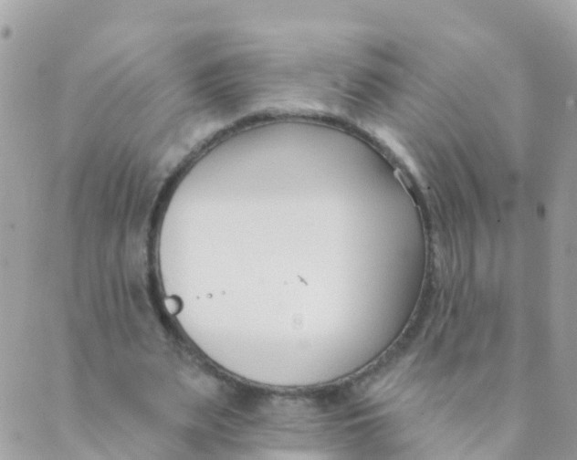 X0000089420487200707061322