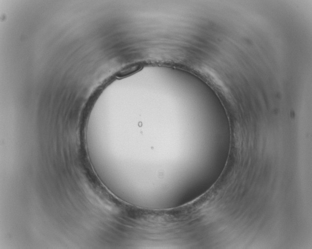 X0000089420488200707061322