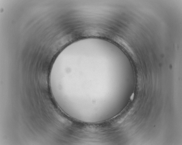 X0000089420489200707061322