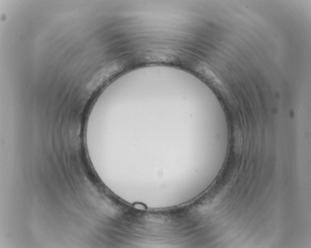 X0000089420490200707061322