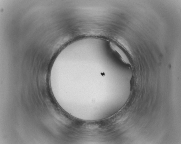 X0000089420491200707061322