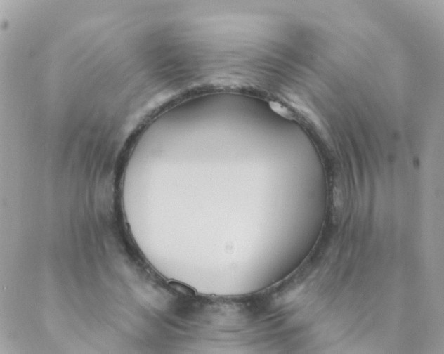 X0000089420492200707061322