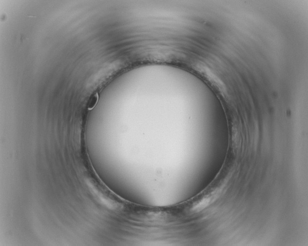 X0000089420493200707061322