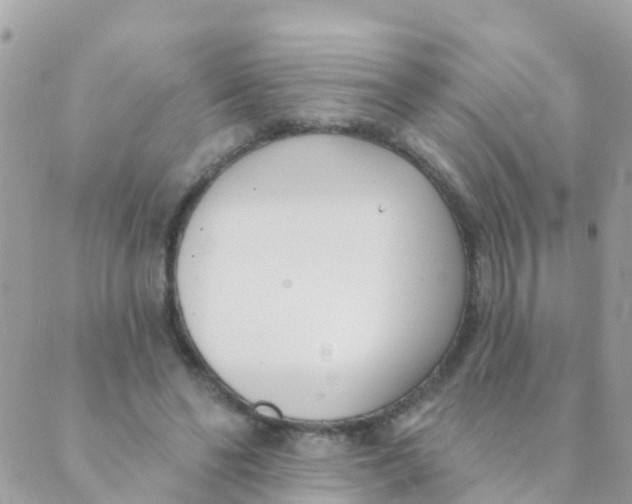 X0000089420494200707061322