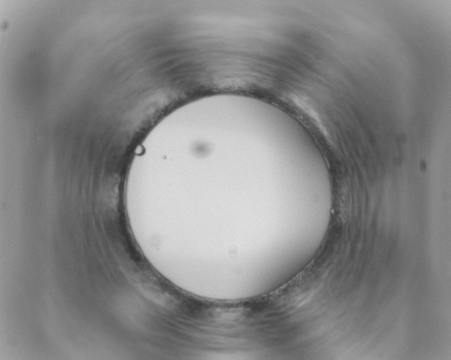 X0000089420495200707061322