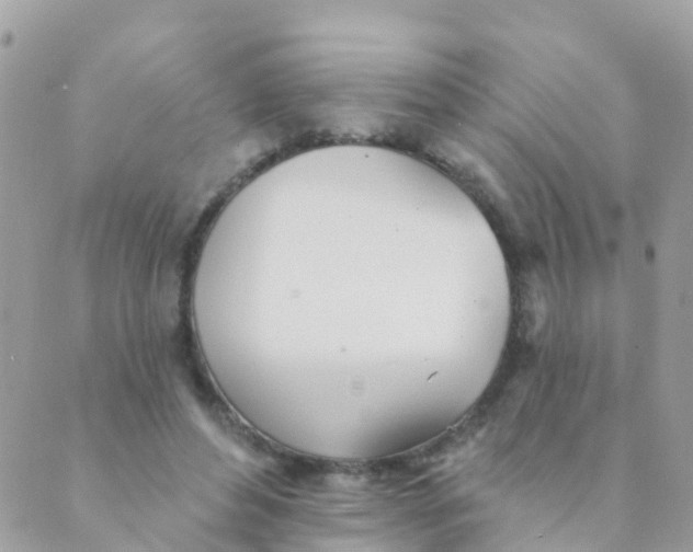 X0000089420496200707061322