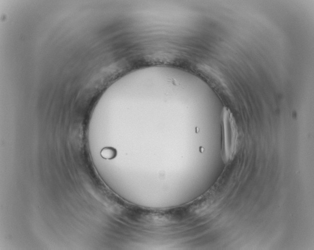 X0000089420498200707061322