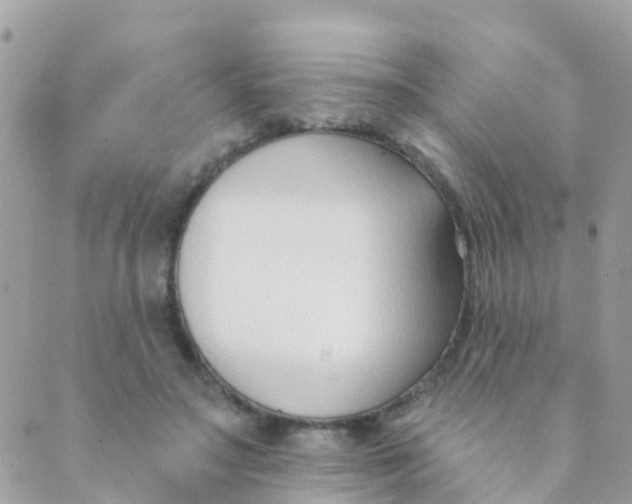 X0000089420499200707061322