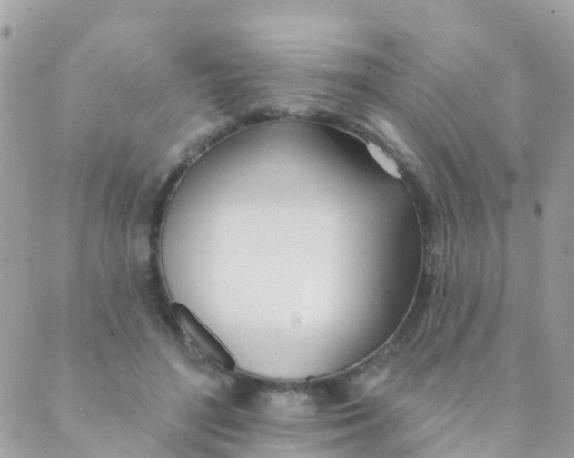 X0000089420500200707061322