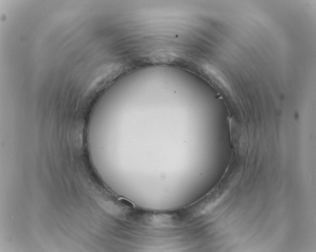 X0000089420501200707061322