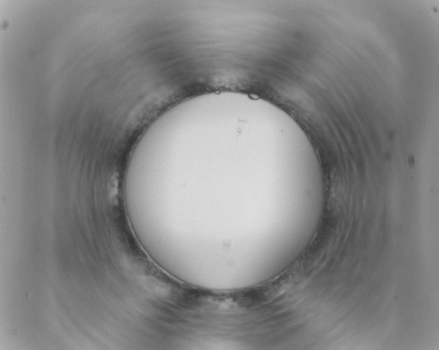 X0000089420502200707061322