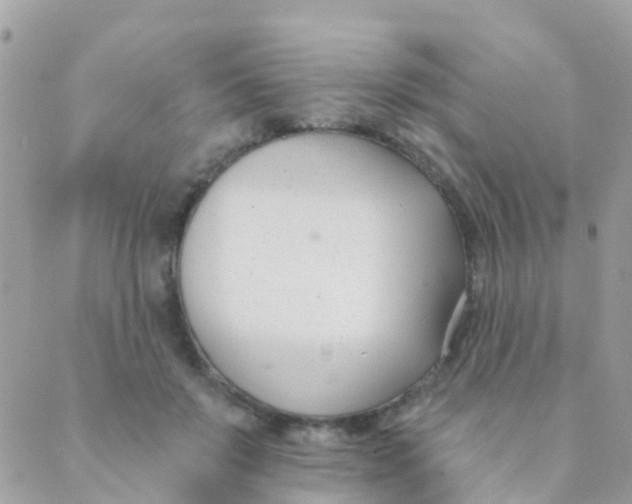 X0000089420503200707061322