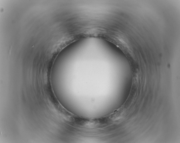 X0000089420504200707061322