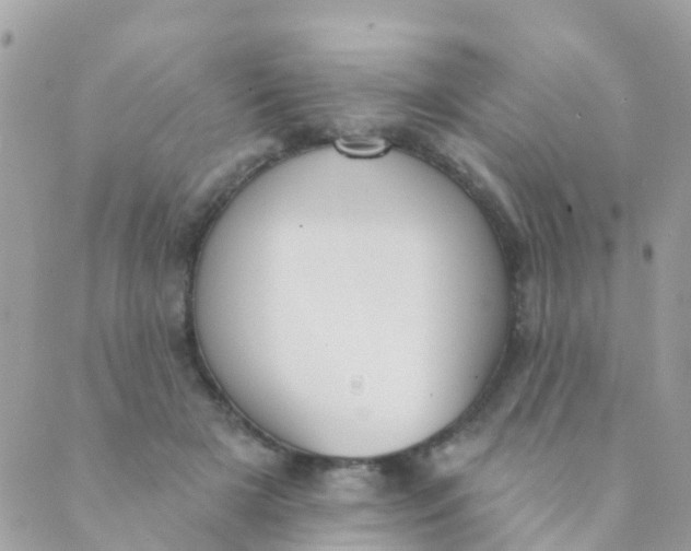 X0000089420505200707061322