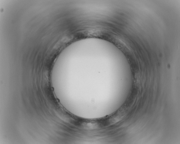 X0000089420506200707061322