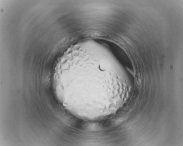 X0000089420507200707061322