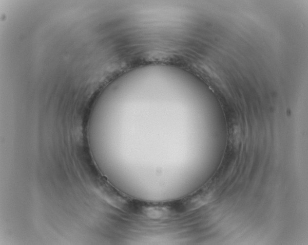 X0000089420508200707061322