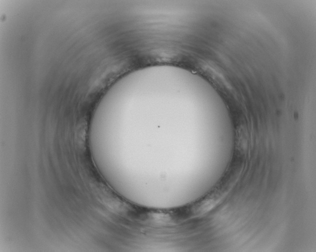 X0000089420509200707061322