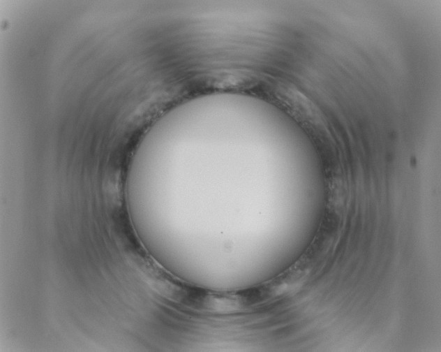 X0000089420510200707061322