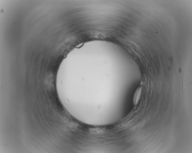 X0000089420511200707061322