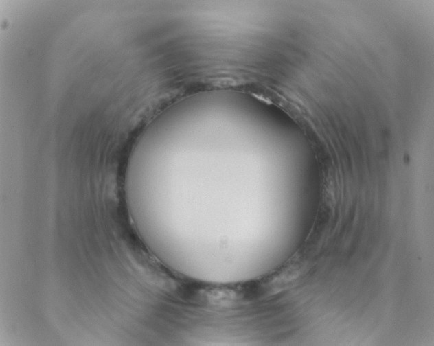 X0000089420512200707061322