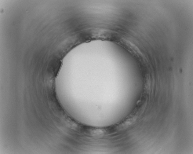 X0000089420513200707061322