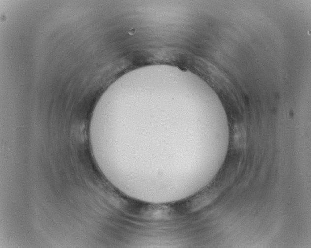 X0000089420514200707061322