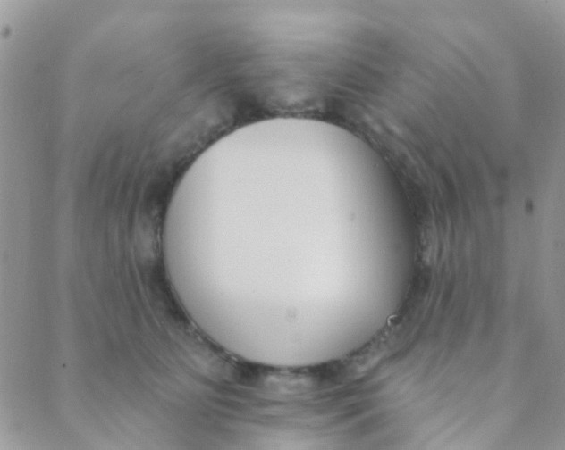 X0000089420515200707061322